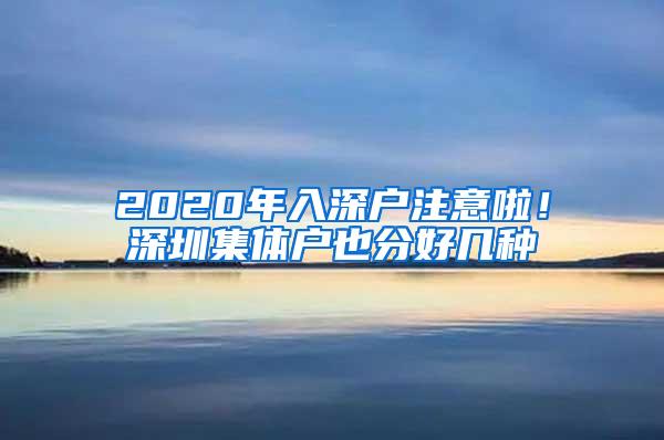 2020年入深户注意啦！深圳集体户也分好几种
