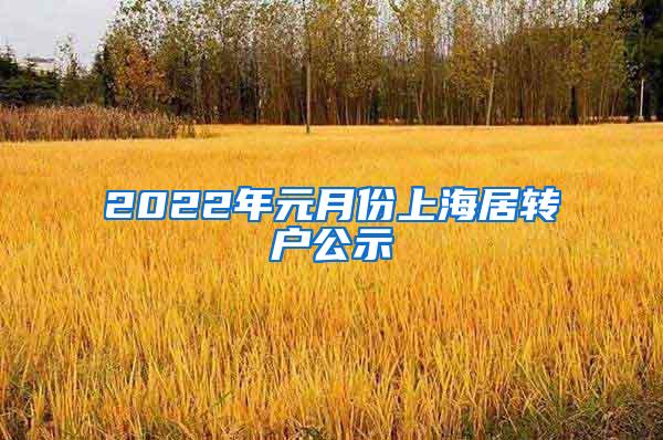 2022年元月份上海居转户公示