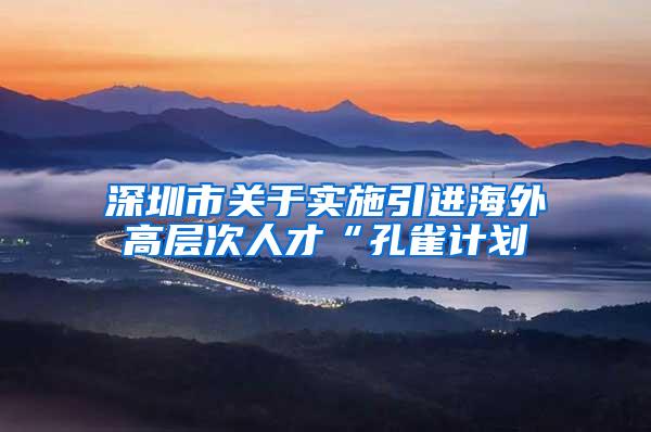 深圳市关于实施引进海外高层次人才“孔雀计划
