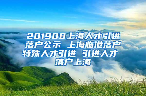 201908上海人才引进落户公示 上海临港落户特殊人才引进 引进人才 落户上海