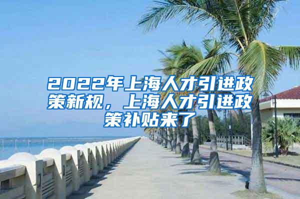 2022年上海人才引进政策新规，上海人才引进政策补贴来了