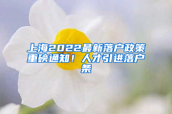 上海2022最新落户政策重磅通知！人才引进落户条